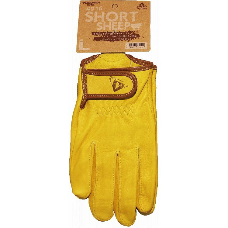 キタヤマ SHORT SHEEP 3L #916(代引不可)(4.0)