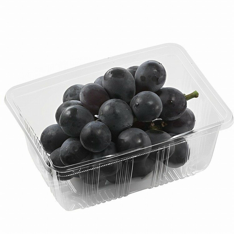 エフピコチューパ フルーツケース APフルーツ500 100枚(代引不可)