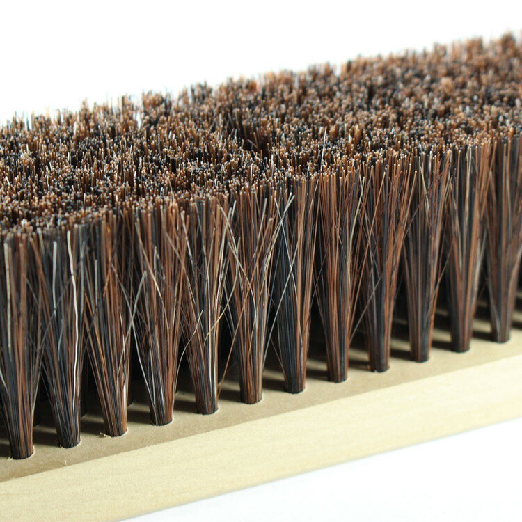 ���ȡ� �����֥饷 (����) 1���� 23034(����Բ�)