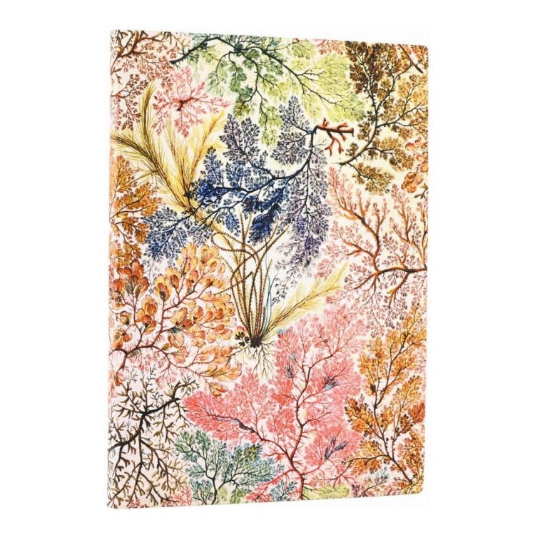 Other - paperblanks アネモネ(ミディ)罫線 FB9904-8(代引不可)【送料無料】