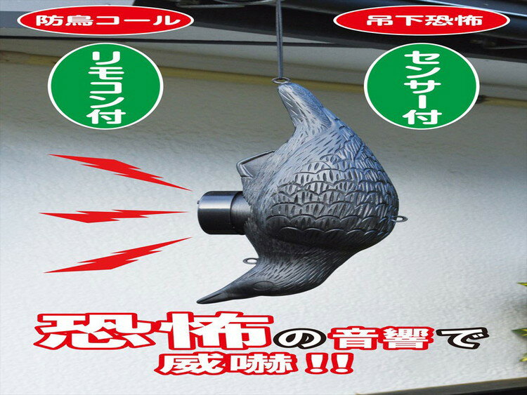 ���󥵡������֥��饹 ����ѥ�(����Բ�)������̵����