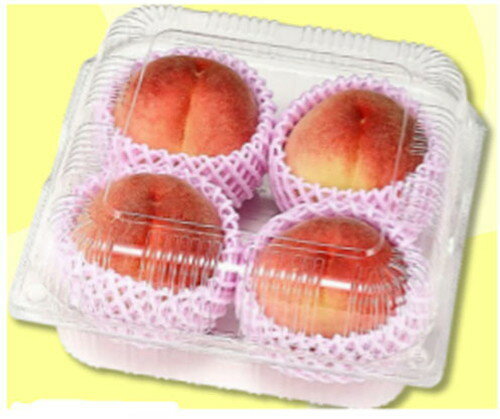 VFB21-21(25��) DIY ���� ��̳ ������ ������ ���Ȼ�� ���Ȼ�ऽ��¾ ���եԥ����塼�� CP007630(����Բ�)������̵����