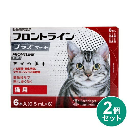 【動物用医薬品】 【2個セット】 フロントライン 猫用 6本入 ノミ 蚤 ダニ ハジラミ 駆除剤 駆除液 動物用 ペット用 医薬品 フロントラインプラスキャット...