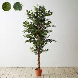 人工観葉植物 フィカス ハイタイプ ゴムの木 フェイクグリーン インテリアグリーン 造花 観葉植物 人工 フェイク グリーン(代引不可)【送料無料】