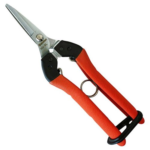 ���ܥƥ� �׷�ۼ�������-�������� NO.AG-8L