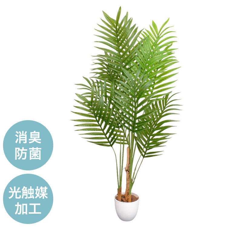 【商品説明】幹を連結させる組み立て式です。水やり不要・日光不要で置く場所を選ばずお手入れも簡単です。グリーンによる癒し効果もあるので自宅に限らずオフィスにもお勧めです。葉は光触媒加工を施しており、置いておくだけでお部屋の空気をキレイにし、消臭、防菌作用が得られます。一部組立式【サイズ】(約)幅50×高さ140cm【重量】(約)6kg【材質】葉：PEVA・PE・スチール枝：PE・スチール幹：PE・スチール鉢の中身：セメント・ウッドチップ(マツ)樹皮：ポリエステル布地【生産国】中国製【代引きについて】こちらの商品は、代引きでの出荷は受け付けておりません。【送料について】北海道、沖縄、離島は送料を頂きます。フェイクグリーンアレカヤシパキラベンジャミン