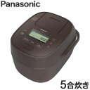 pi\jbN Panasonic ψIHW[ъ 5 }ou ǂ萆 SʔM5iIH uE ъ SR-M10A-Tyz