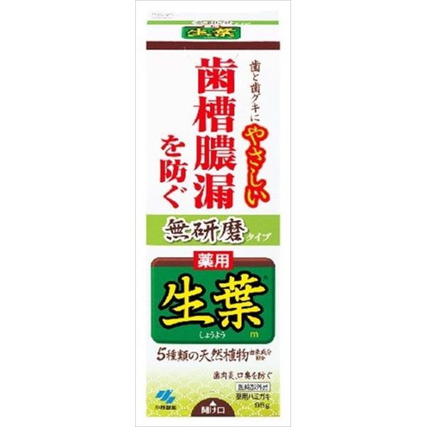 ■商品特徴●5種類の天然植物由来成分が歯ぐきに働き、歯槽膿漏を防ぎます●殺菌成分ヒノキチオールが、歯槽膿漏の原因菌を殺菌します●研磨剤無配合なので、退縮して弱った歯ぐきと露出した歯をやさしく磨けます●やさしいハーブミント味●フッ素配合■メーカー名小林製薬■商品区分医薬部外品■容量95G ■製造国日本■個装サイズ48mm×40mm×143mm■本体重量116g【代引きについて】こちらの商品は、代引きでの出荷は受け付けておりません。【送料について】北海道、沖縄、離島は送料を頂きます。