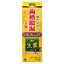 小林製薬 生葉EX 100G オーラル/歯磨き/歯周病・知覚過敏(代引不可)