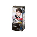 ダリヤ サロンドプロ ワンプッシュメンズカラー(白髪用) 6(ダークブラウン)(代引不可)