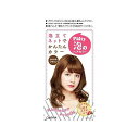 ダリヤ パルティ 泡のヘアカラー (ロイヤルブラウン)(代引不可)