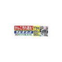 【8個セット】 株式会社ブルーキ ブルーキーネット プロの汚れおとし 110g セット まとめ セット販売 まとめ販売 まとめ売り(代引不可)【送料無料】(3)