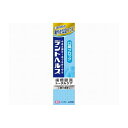ライオン デントヘルス薬用ハミガキ 口臭ブロック 28g 医薬部外品(代引不可)