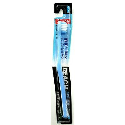 【単品】銀座ステファニー リーチ 奥歯集中ケアコンパクトふつう(代引不可)