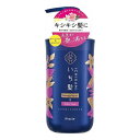 【単品6個セット】 いち髪 ダメージリペア&カラーケア コンディショナー ポンプ(代引不可)【送料無料】