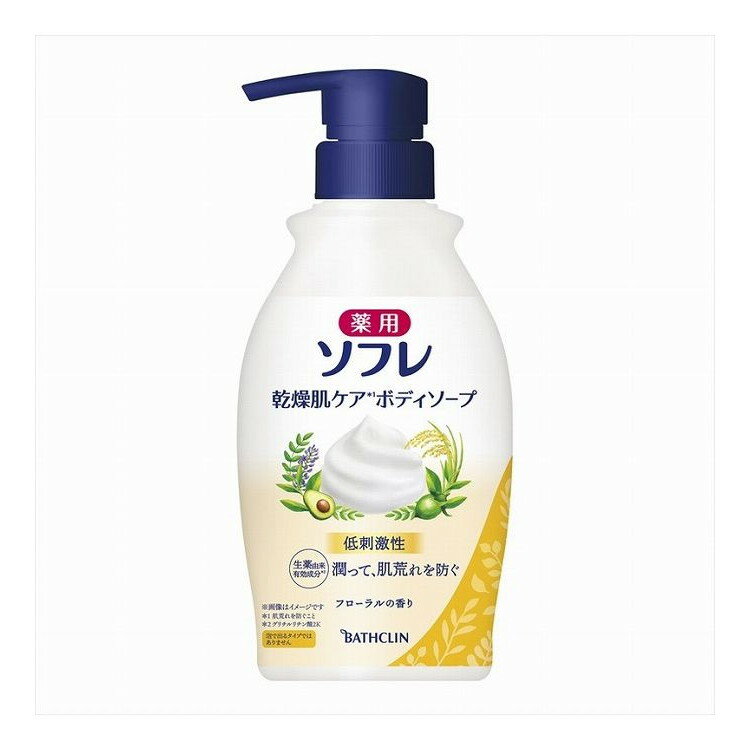 【単品2個セット】 薬用ソフレ 乾燥肌ケアボディソープ 450mL(代引不可)