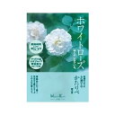 【単品16個セット】 かたりべ ホワイトローズ ミニ(代引不可)【送料無料】