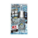 【単品4個セット】 白元アース アイスノン シャツミスト ICE KING 熱中症対策 暑さ対策 冷感グッズ シャツミスト 冷感ミスト 冷感(代引不可)【送料無料】(4)
