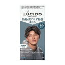 【単品4個セット】 ルシード デザインヘアカラー クールアッシュ (医薬部外品) マンダム(代引不可)【送料無料】(4)