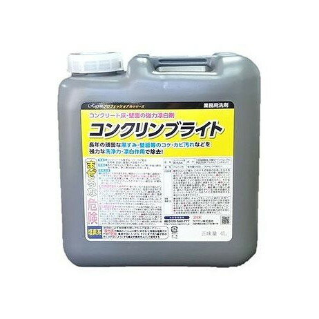 【単品3個セット】 コンクリンブライト(代引不可)【送料無料】