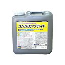 【単品5個セット】 コンクリンブライト(代引不可)【送料無料】(3)