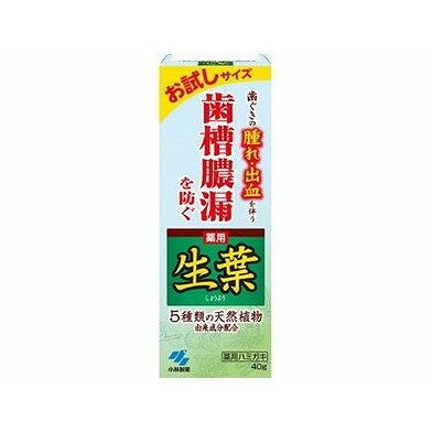 生葉 お試しサイズ 40g 小林製薬(代引不可)