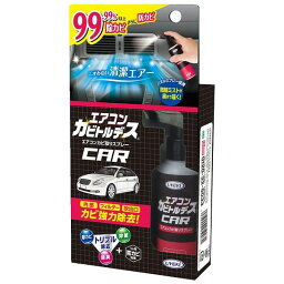 エアコンカビトルデス車用 80ml(代引不可)