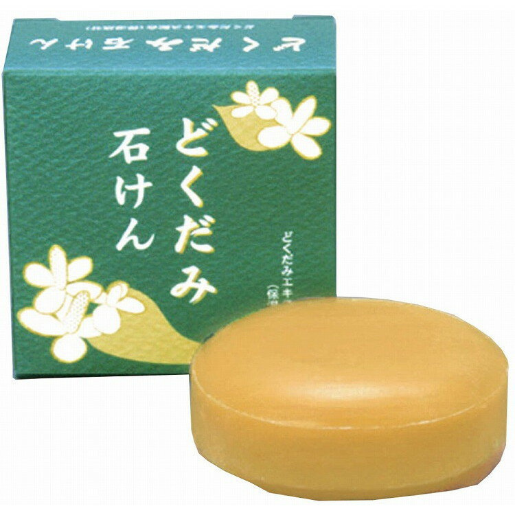 【単品12個セット】 和の美肌 どくだみ石けん 100g (株)地の塩社(代引不可)【送料無料】