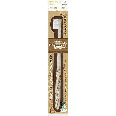【単品10個セット】 わらハブラシ OBー813 (株)アヌシ(代引不可)【送料無料】 【単品10個セット】 わらハブラシ OBー813 (株)アヌシ(代引不可)【送料無料】