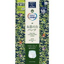 【単品6個セット】エルモアいちばん お茶の力パンツ L~LL 18枚 カミ商事(代引不可)【送料無料】