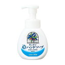 【単品3個セット】 ヤシノミキッチン泡ハンドソープ250ML サラヤ株式会社(代引不可)(4)