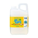 【単品6個セット】 ヤシノミ洗剤業務用2.7KG サラヤ株式会社(代引不可)【送料無料】