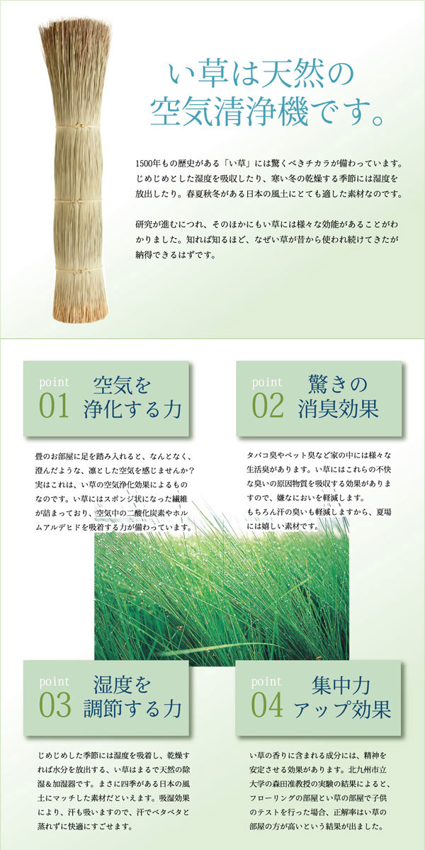 純国産 双目織 い草上敷 『松』 団地間2畳(約170×170cm)【送料無料】【代引き不可】 [3]