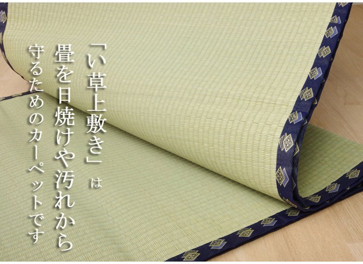 い草 上敷き い草上敷 はっ水 カーペット 無地 『撥水 湖水』 江戸間4.5畳(約261×261cm) 撥水 湖水(代引不可)【送料無料】 [3]