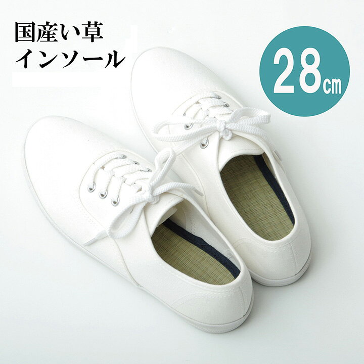 ●サイズ28cm●原産国日本●組成表地＝い草 裏地＝ポリエステル100％【フェルト】 縁＝綿85％、麻15％●洗濯表示洗えません。●商品特徴い草を使用したインソールです。い草の消臭効果・湿度調整機能で、蒸れを抑え、臭いを消臭する効果があります。革靴やスニーカーなどにもおすすめです。サイズは22cmから27cmまでご用意しています。【代引きについて】こちらの商品は、代引きでの出荷は受け付けておりません。【送料について】北海道、沖縄、離島は送料を頂きます。↓ 国産い草使用　「い草インソール」　はこちら↓※画像は25cmサイズです。NV(ネイビー)