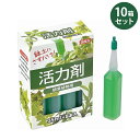 活力剤(観葉植物用) 8本入×10箱セット 春夏秋冬 プランターにさすだけ 土壌 栄養 良好 植物 発育促進 活力剤 園芸 玄関 芝生 ガーデンファニチャー ガ...