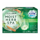 HERSバスラボ 薬用入浴剤 MOIST HERB SPA 45g×16錠入