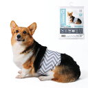 M-PETS エムペッツ 洗える 男の子用オムツ WASHABLE M おむつ パンツ マナーパンツ おす オス ペット用おむつ 介護 老犬 しつけ