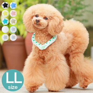 SUO アイスクールリング ボタン付 LL ペット用 散歩 反射 犬用 ネックリング ネック用 アイス クール リング 熱中症予防 暑さ対策 室内犬 小型犬 ペット 犬 SUO 28°ICE COOL RING(代引不可)【メール便配送】【送料無料】