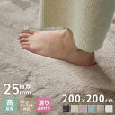 極厚高反発ラグ 200×200cm 極厚25mm 正方形 フランネル 撥水 防音 滑り止め付 クッション性 マイクロファイバー オールシーズン ラグ ラグマット...