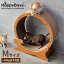 ペットプロ 猫用 キャットホイール Mサイズ ~15kgまで対応 爪とぎ 段ボール ストッパー付 固定できる ..
