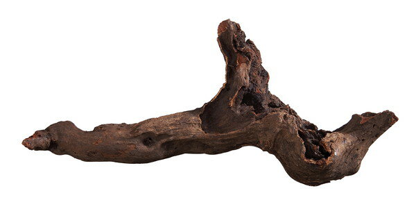 �����å��� GEX ŷ��ή�� M