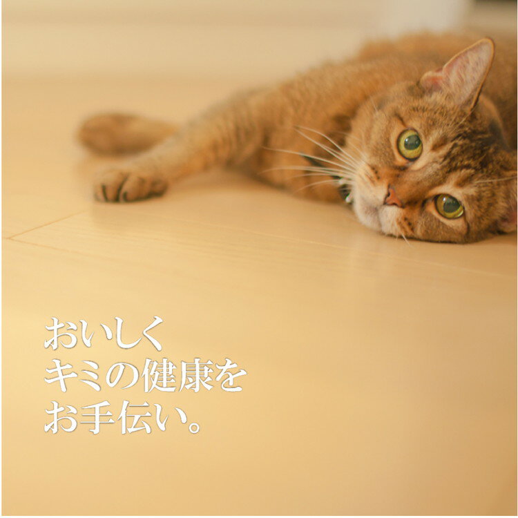 ファンタジーワールド Signature7 シグネチャー7 キャットパティ 【月】 かつお&チ...
