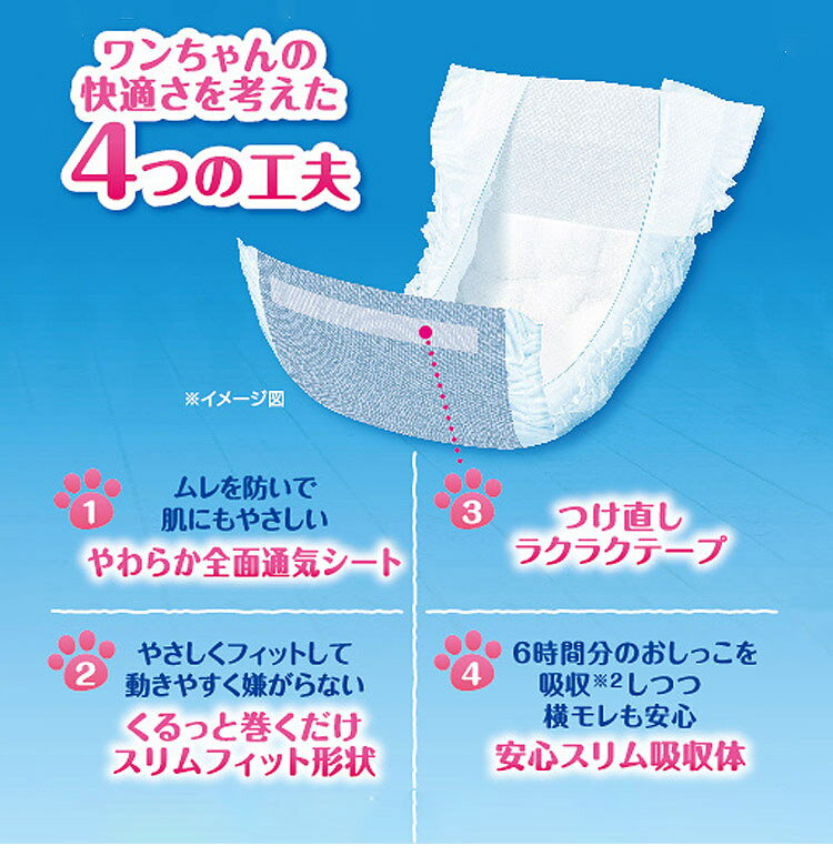 ��4�ĥ��åȡ� �ޥʡ������� �ˤλ��� SS �⥫���ȥ饤�ס��饤�ȥ֥롼������ 48�� Ķ�������� �������� ���Ѥ���� �ޥʡ������ �ڥå��� �ޤȤ���� ���å���� �ޤȤ��㤤������̵����