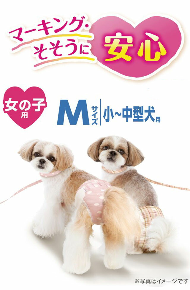 ��12�ĥ��åȡ� ��ˡ����㡼�� �ޥʡ������� ���λ��� M ��褱����� 10�� �ڥå��Ѥ���� ����� �ڥå��� ���� ���Ѥ���� ����� ��褱 �ޤȤ���� ���å���� ��˥��㡼�������̵����