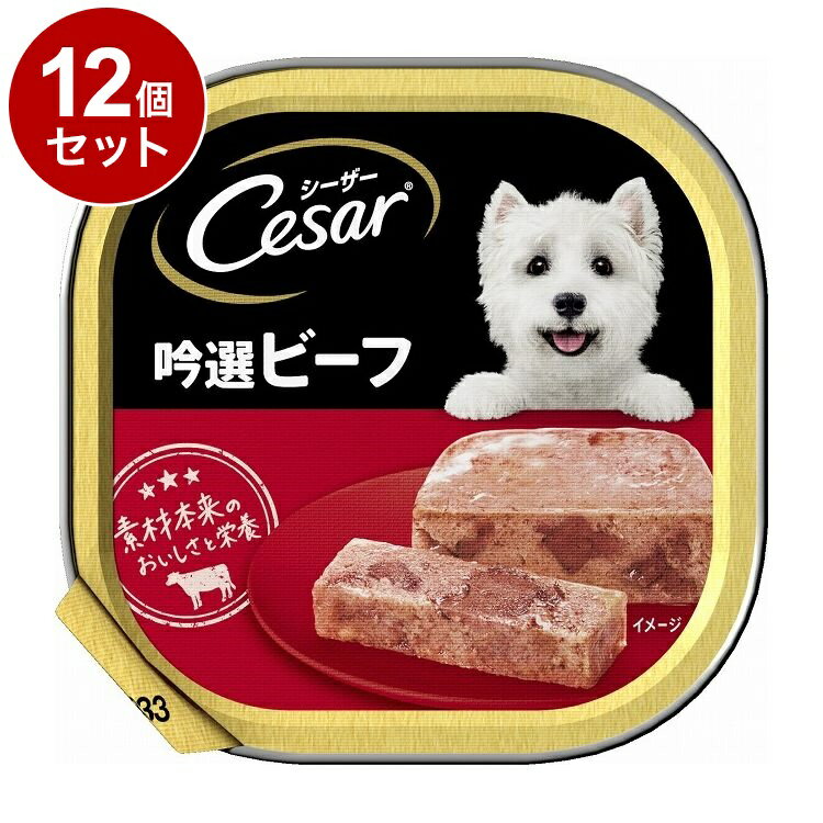 【12個セット】 シーザー 吟選ビーフ 100g【送料無料】