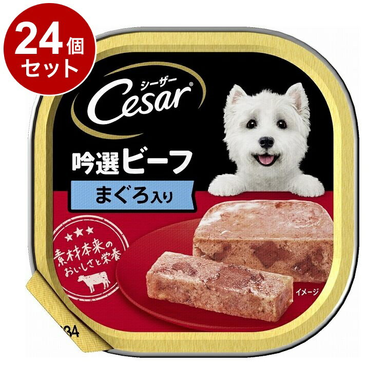 【24個セット】 シーザー 吟選ビーフ まぐろ入り 100g【送料無料】