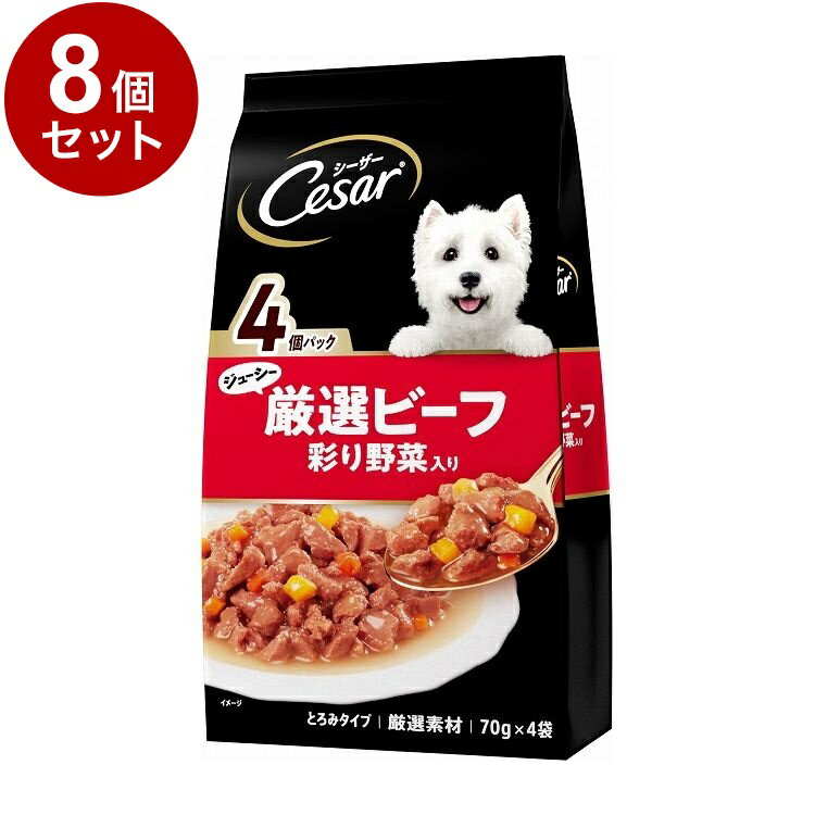 【8個セット】 シーザー ジューシー厳選ビーフ入り 彩り野菜入り 70g×4袋【送料無料】