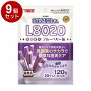 【9個セット】 マルカン サンライズ ゴン太の歯磨き専用ガムSSサイズ L8020乳酸菌入り ブルーベリー味 120g【送料無料】