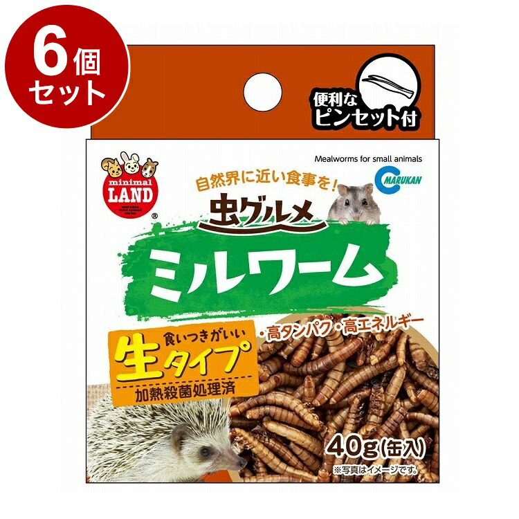 【6個セット】 マルカン 虫グルメ ミルワーム 40g【送料無料】